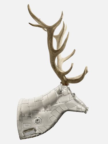 Deer - LDP - Afb.01
