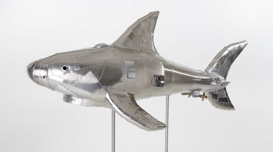 Shark - LDP - Afb.08